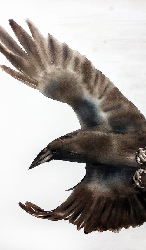 Flying Raven by Olga Beliaeva Watercolour