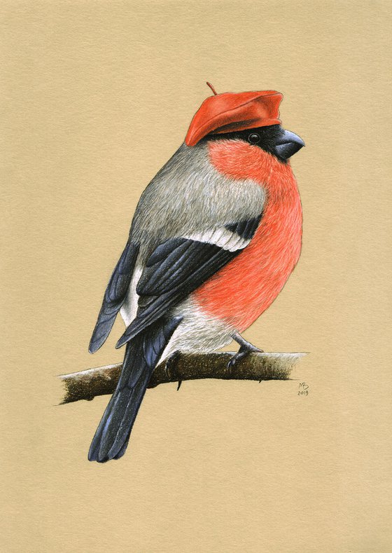 Original pastel drawing bird "Eurasian bullfinch"