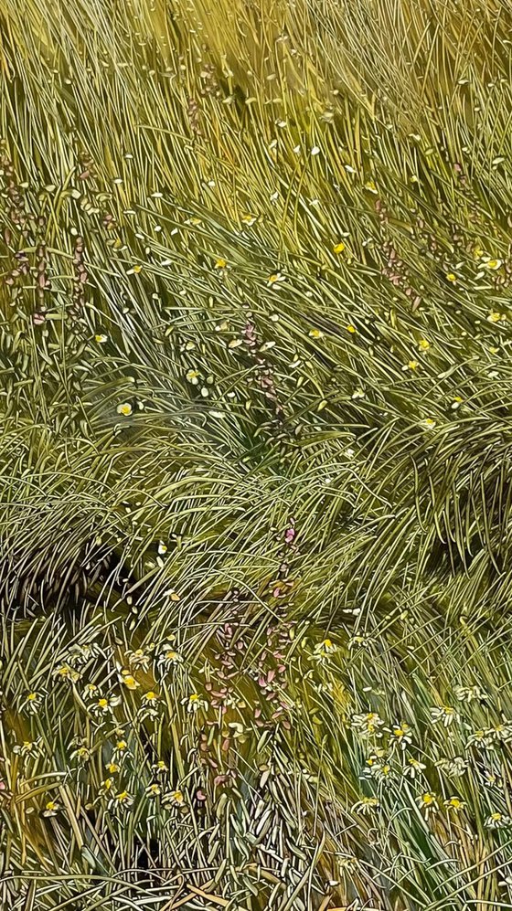 wildflowers and grasses