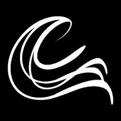 Visit carographic by Carolyn Mielke shop