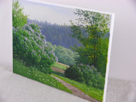 Blooming spring meadow