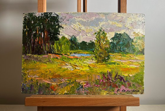 In the Summer Forest