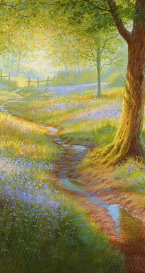 Bluebell wood by Paul  Higgins