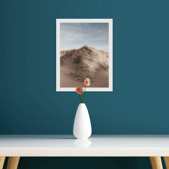 Dune Portrait III