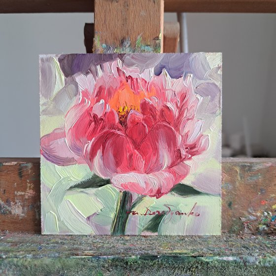 Peony flower