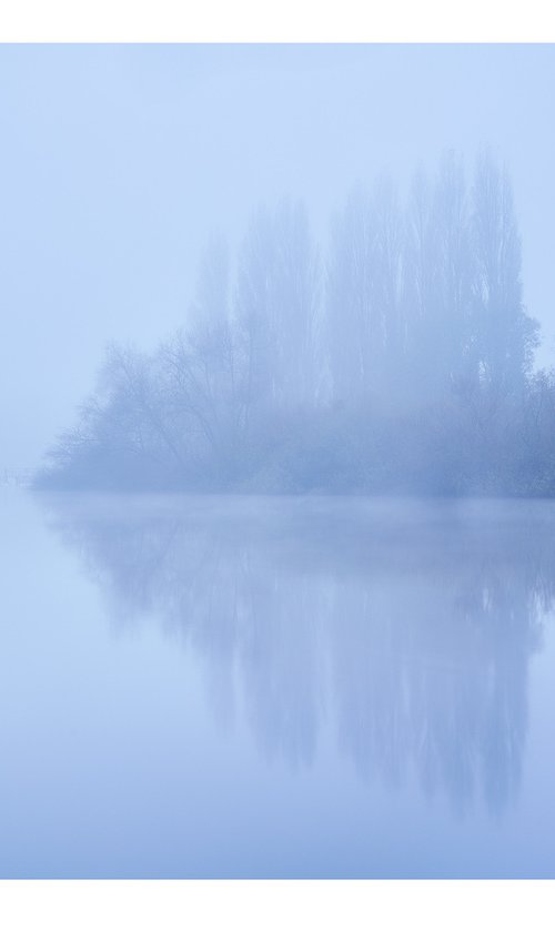 Misty Trees Reflection by Douglas Kurn