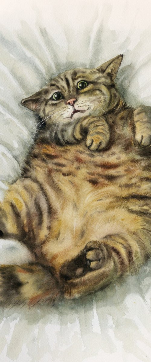 Fat Cat -  striped cat -  fluf by Olga Beliaeva Watercolour