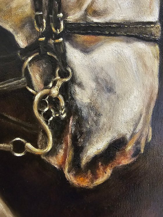 Andalusian-Original Horse Portrait