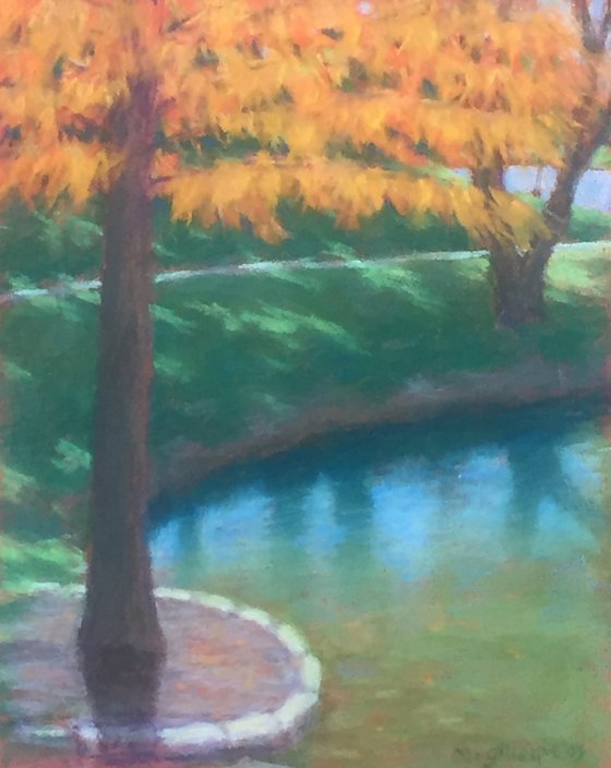 Autumn Cypress Tree