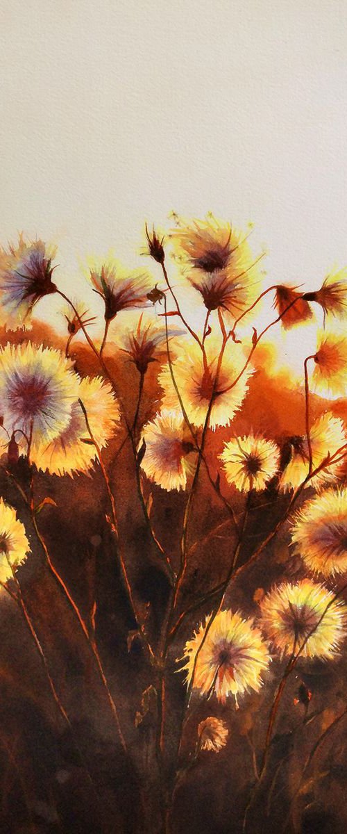 Fluffy Thistle - Watercolor - by Olga Beliaeva Watercolour