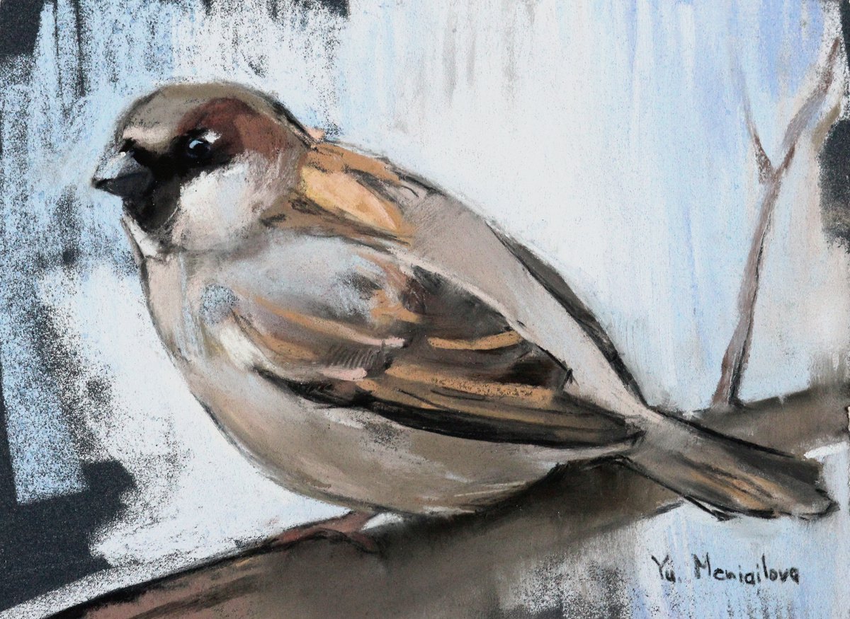 Sparrow - Bird - Pastel drawing by Yuliia Meniailova