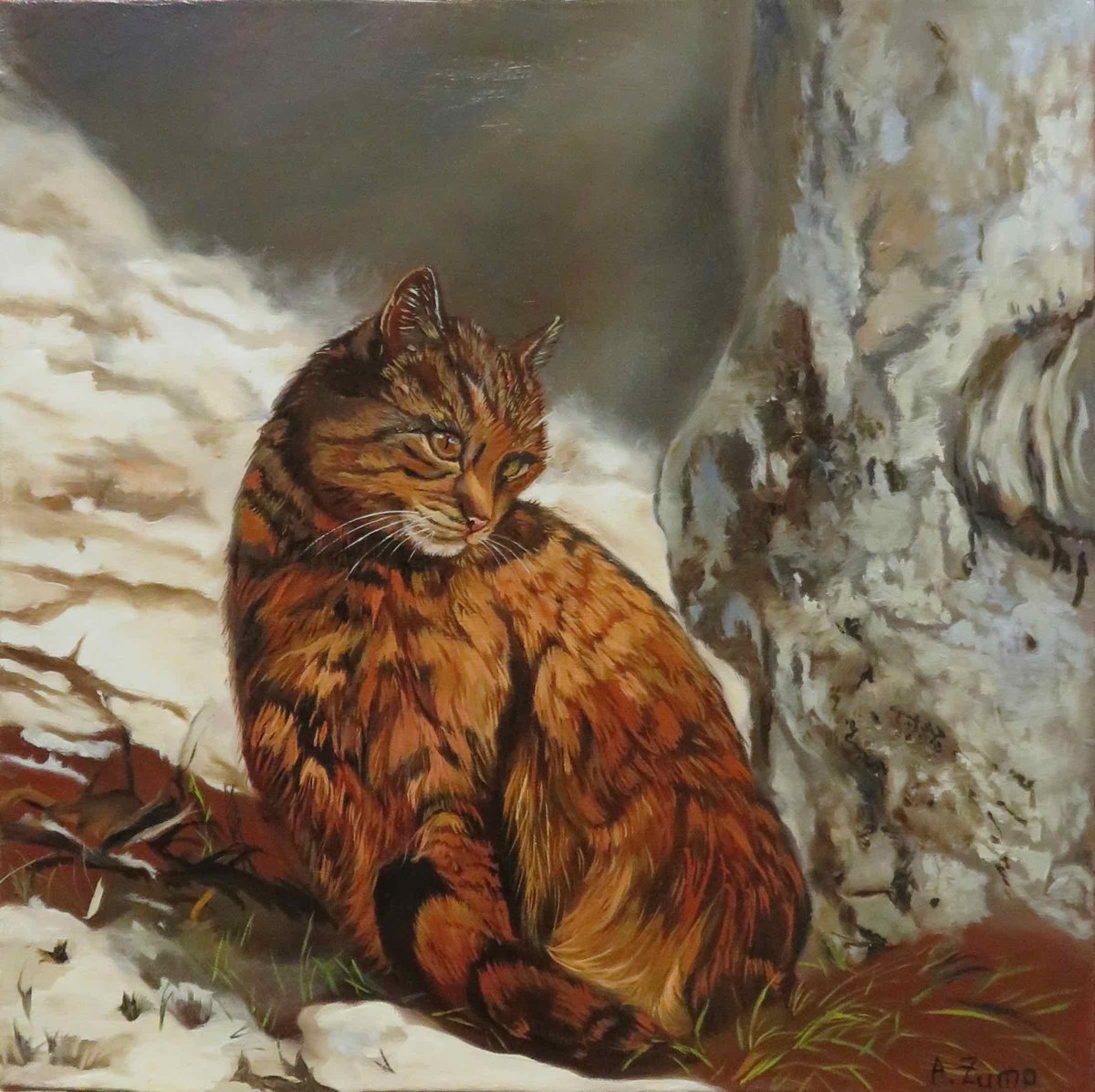 Wildcat in the Snow by Anne Zamo