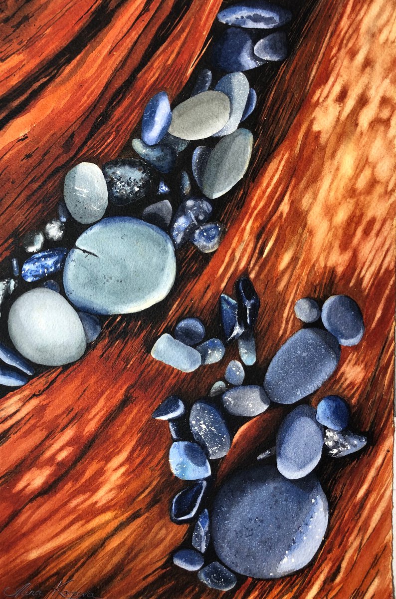 Rocks and driftwood by Alina Karpova