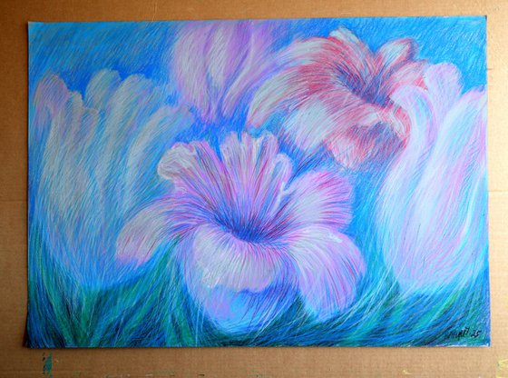 Tulips Purple