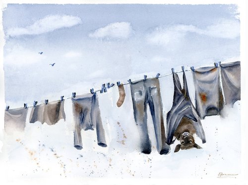 Funny drying on a rope. by Olga Shefranov (Tchefranov)