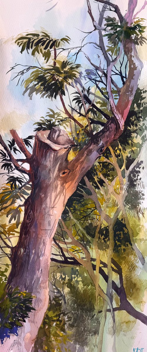 Light Between Branches by Maria Kireev