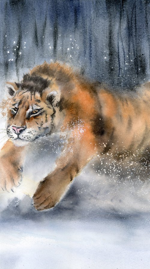 Tiger in Snow by Olga Tchefranov (Shefranov)