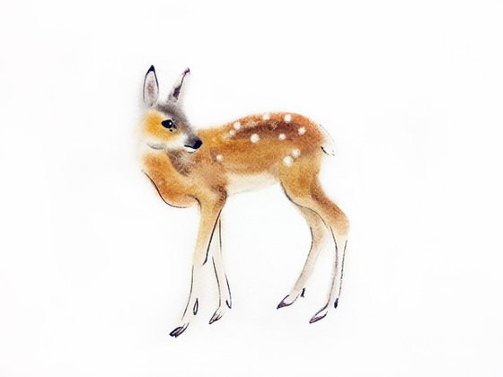 Fawn - Baby Deer