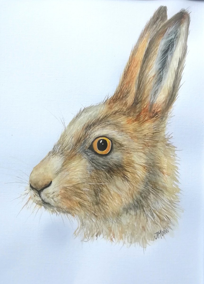 March hare by Jenny Moran