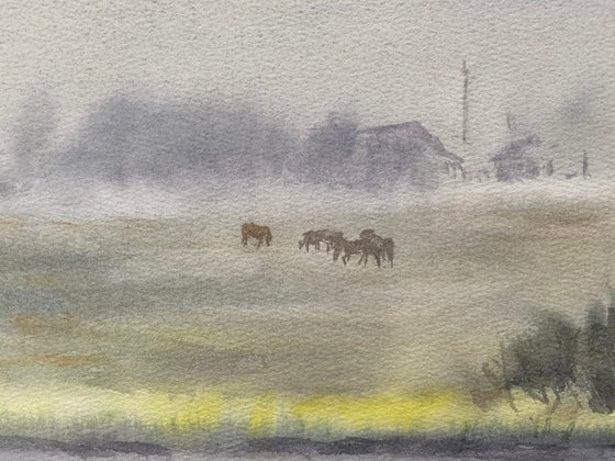 Foggy Morning