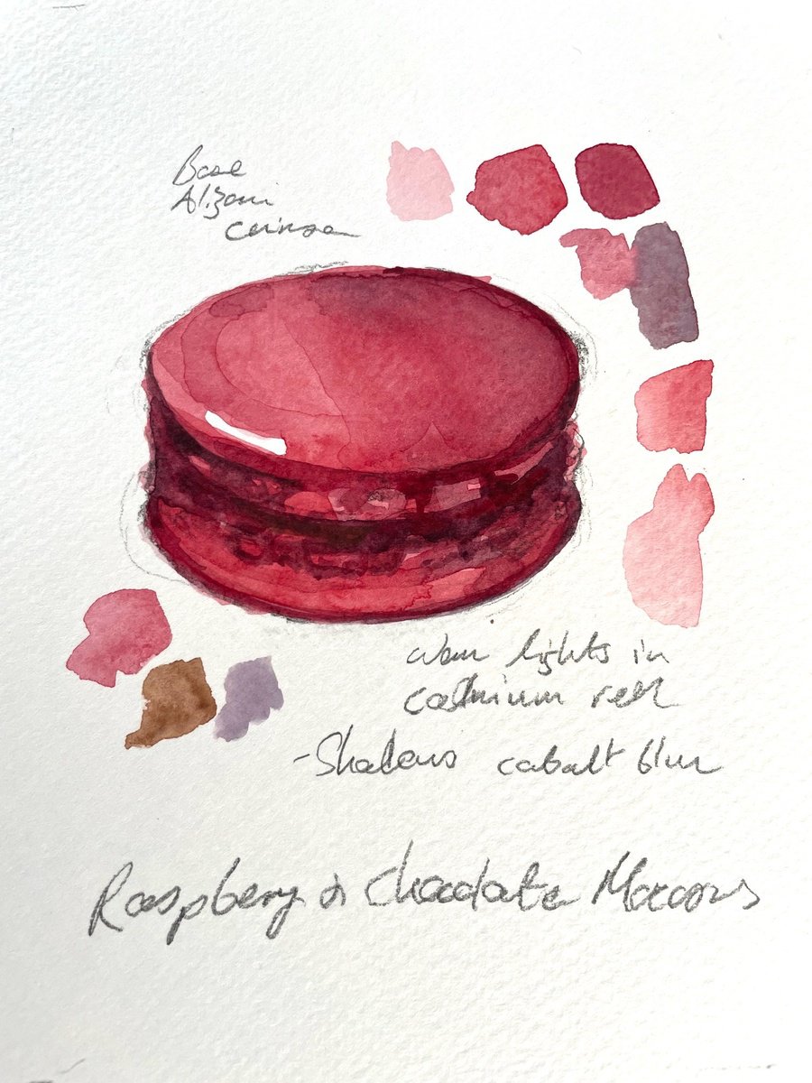 Raspberry & Chocolate Macaron by Naomi Tomkys OBE