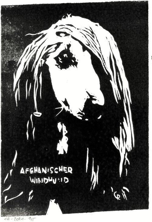 Dogs - Afghan Hound by Reimaennchen - Christian Reimann