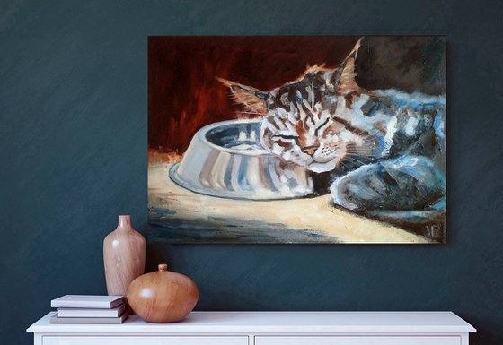 Sleeping Cat Portrait
