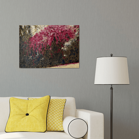 Bougainvillea