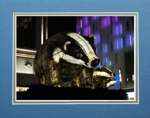Lumiere London Badger by Robin Clarke