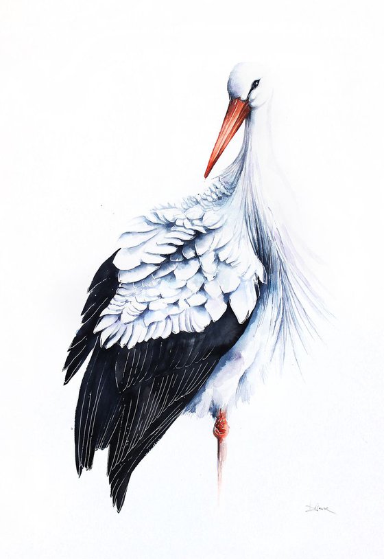 White stork, wildlife, bird, watercolour painting