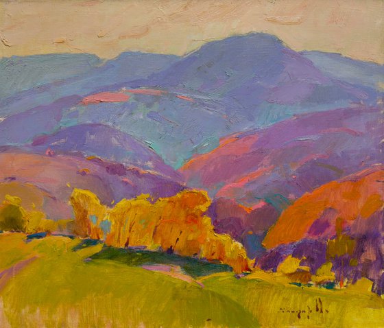 Sunny Mountains