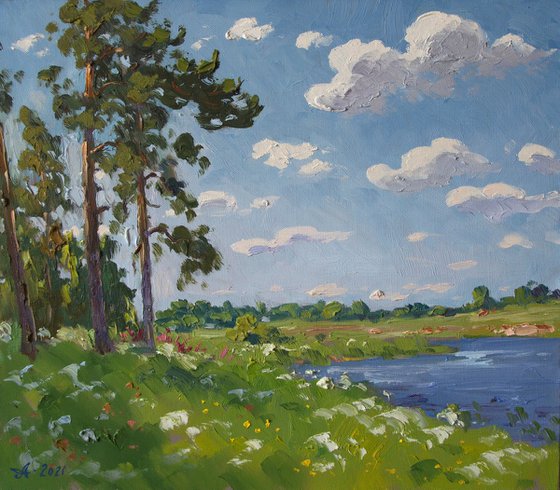 Pines on the Korozhechna River