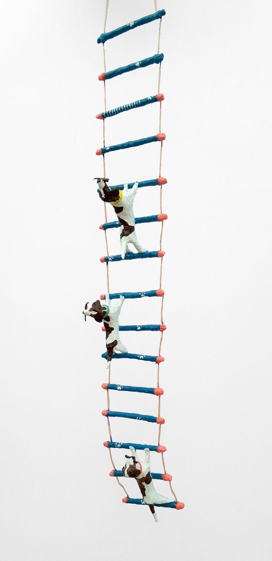 Beagles climbing ladder