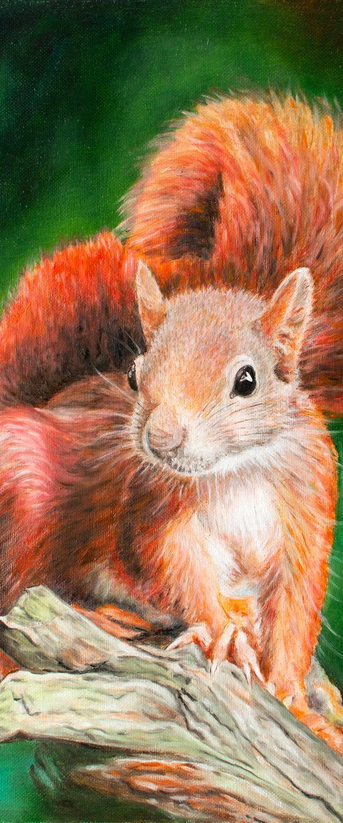 Red and Curious - original oil painting, animal painting, home decor, gift, wall art, art for sale, artfinder art by Vera Melnyk