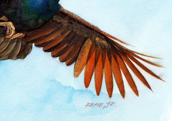 PEACOCK - BIRD XCVIII