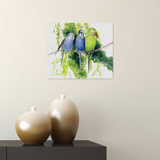 Three PArrots