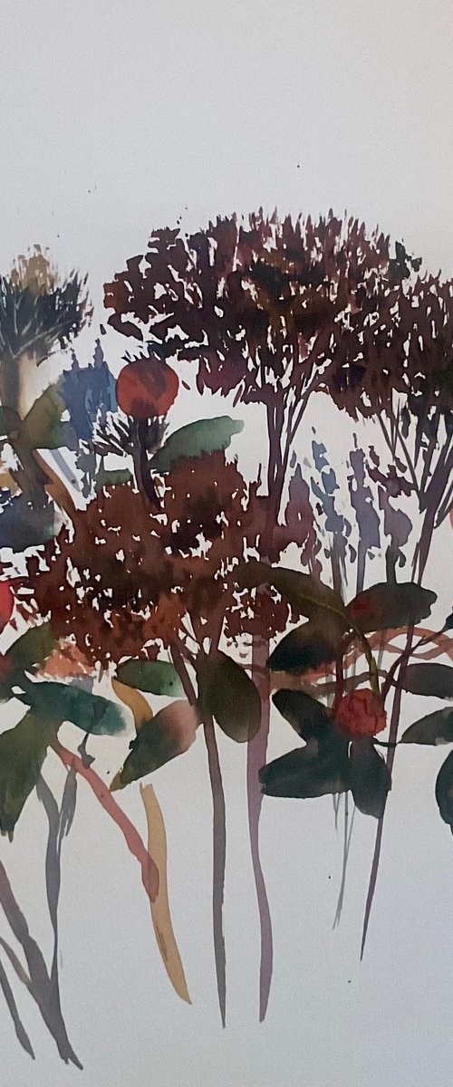 Winters dried flora by Samantha Adams