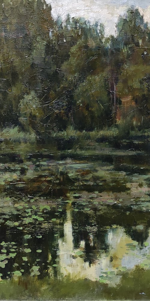 Overgrown pond by Dmitrii Ermolov