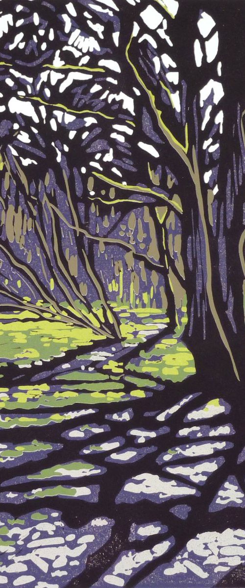 Tree Casts Shadow by Alexandra Buckle