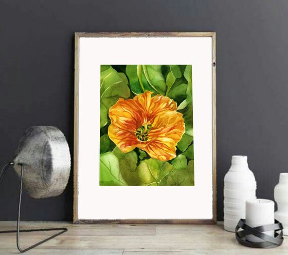 yellow nasturtium watercolor floral