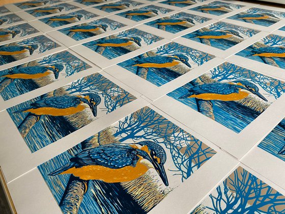 Kingfisher II