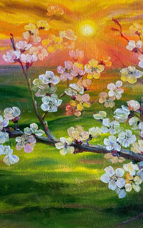 Blooming apricot by Galyna Shevchencko