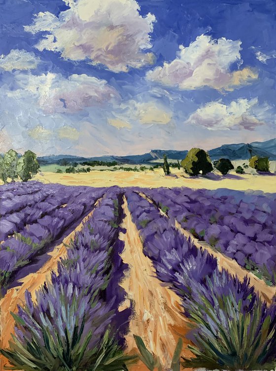 Tuscan Lavender Fields.