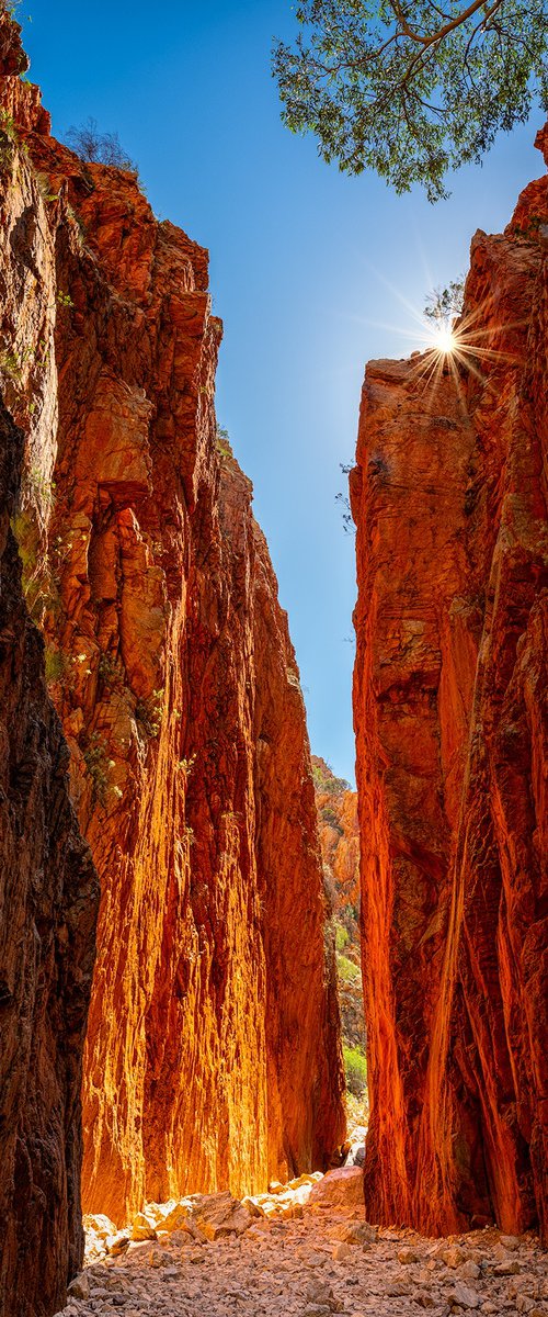 Standley Chasm by Nick Psomiadis