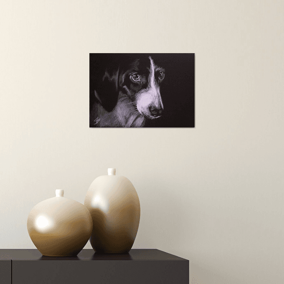 Portrait of dog 2 /  ORIGINAL PAINTING