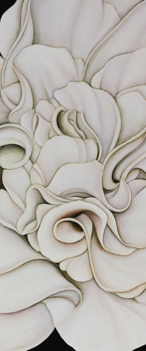 White Camellia on Vert de Gris by Dom Holmes