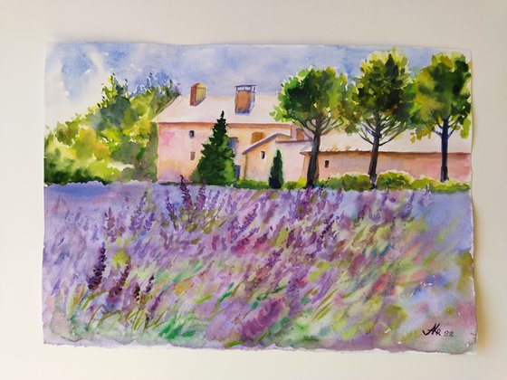 Provence