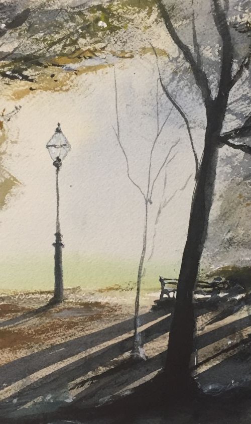 Lights and shadows in a park by Tihomir Cirkvencic