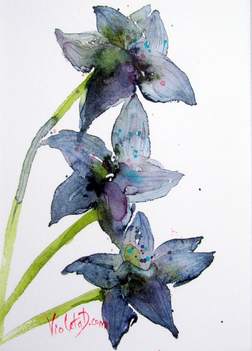 Blue Orchids by Violeta Damjanovic-Behrendt