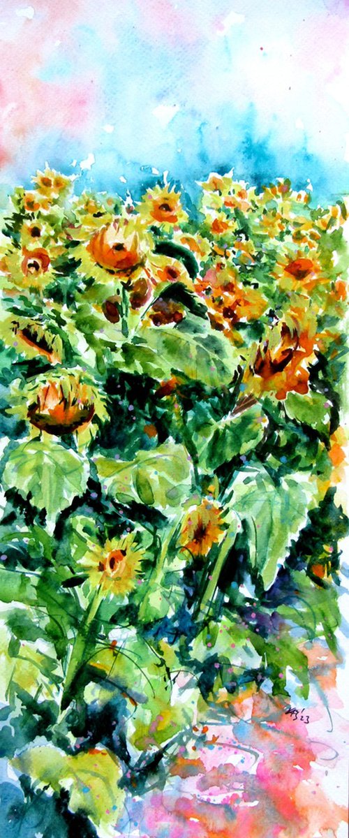 Sunflowers field by Kovács Anna Brigitta